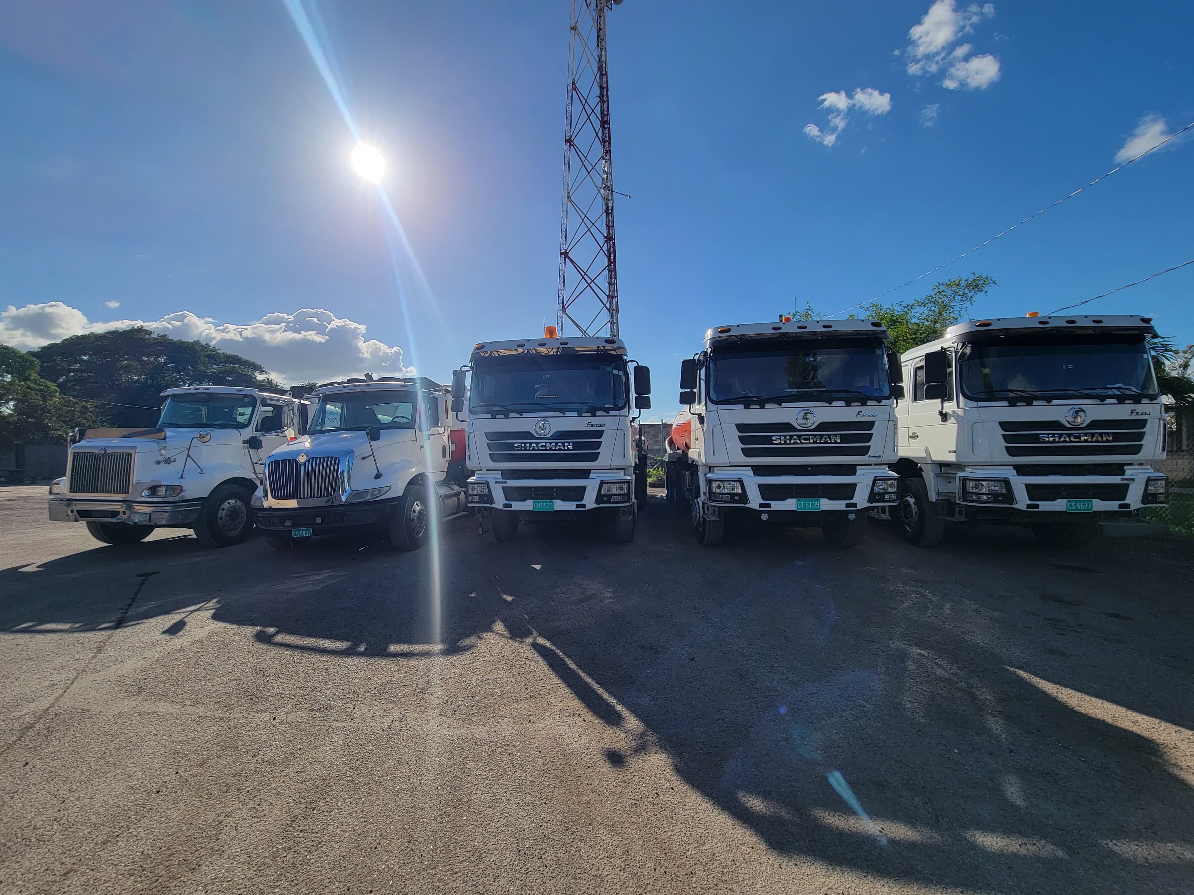 Five white trucks parked in a row under a bright sun and clear blue sky.
